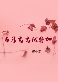 虞晚宋琰白月光与伏特加